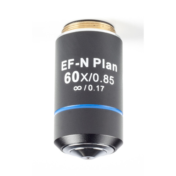 Motic CCIS plan achromatic EF-N PL 60X/0.85 objective (AA = 0.14mm)