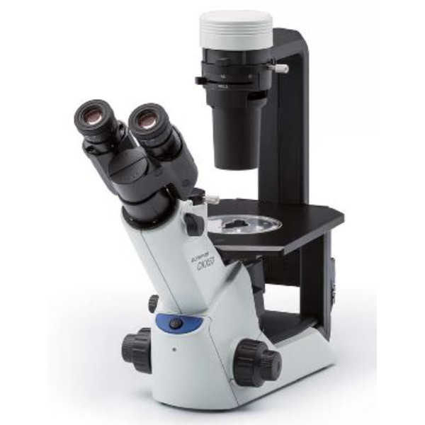 Evident Olympus Microscopio invertido Olympus CKX53 Hellfeld V1, trino, 40x, 100x,