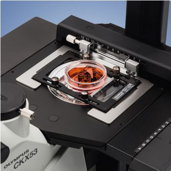 Evident Olympus Omgekeerde microscoop CKX53, trinoculair, 100x, 200x, 400x, IPC/IVC x/y-tafel