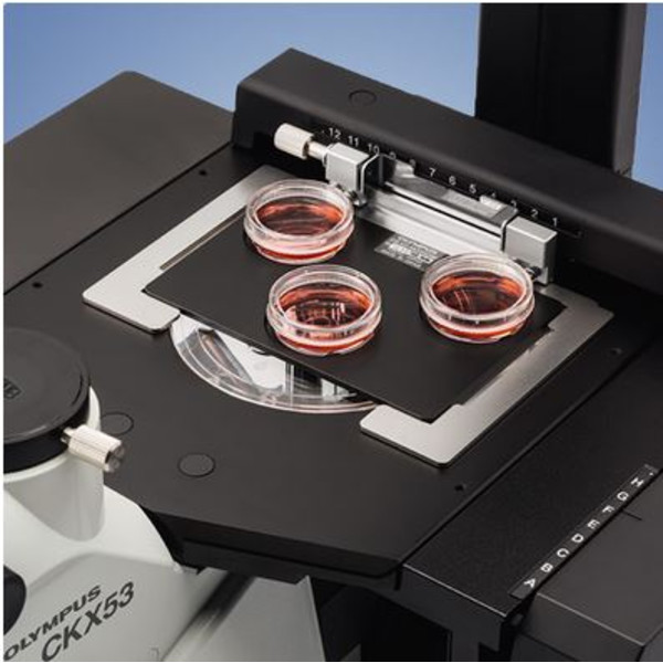 Evident Olympus Microscopio invertido Olympus CKX53 IPC/IVC V1, PH, trino, infinity, achro, 10x, 20x, 40x, LED