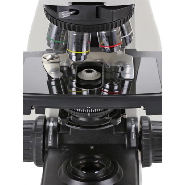 Euromex Microscopio DX.1153-PLi, trino, 40x - 1000x