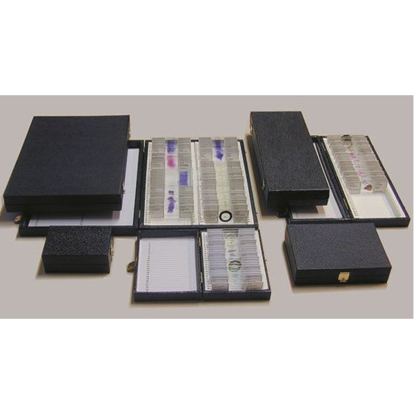 LIEDER K25, Box for prepared slides (25 slides)