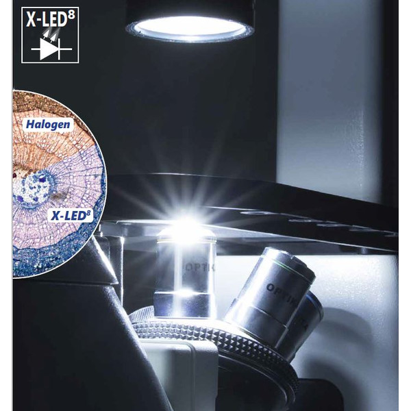 Optika Microscope IM-3FL4-EUIV, trino, inverse, FL-HBO, B&G Filters, IOS LWD U-PLAN F, 100x-400x, EU, IVD