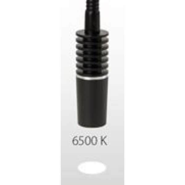 Euromex lichtgeleider LE.5260, Lichtgeleider wit, 6500K f. NZ.9018, LE5207, LE.5212
