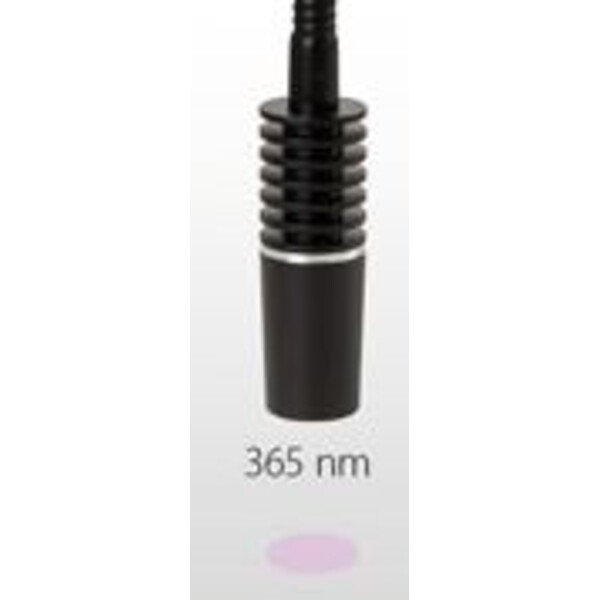 Euromex Lichtgeleider LE.5261, 365nm f. NZ.9018, LE5207, LE.5212