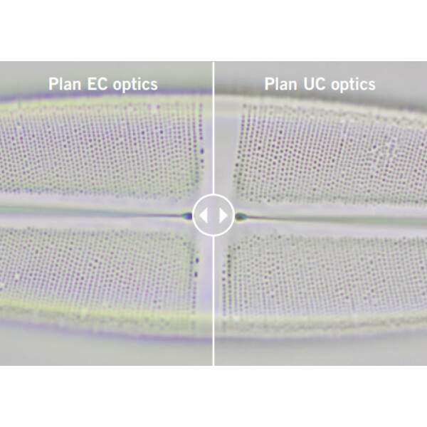 Motic Microscoop Panthera E2, Trinokular, HF, Infinity, plan achro., 40x-1000x, fixed Koehl.LED