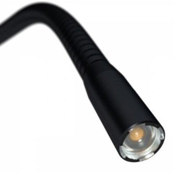 StarLight Opto-Electronics Illuminatore LED IL11, Collo di signo, 450 mm