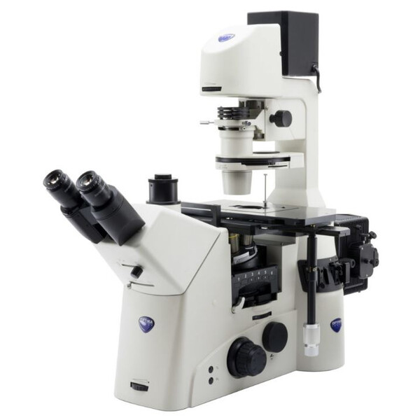 Optika Microscopio invertito I