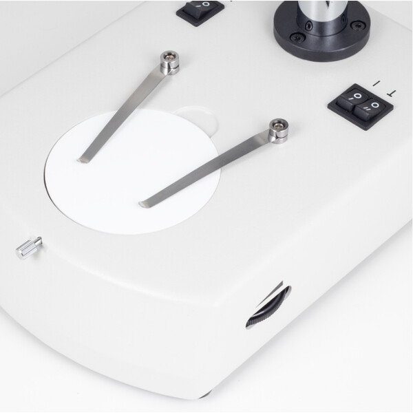 Motic Microscopio estereo SFC-11C-N2LED