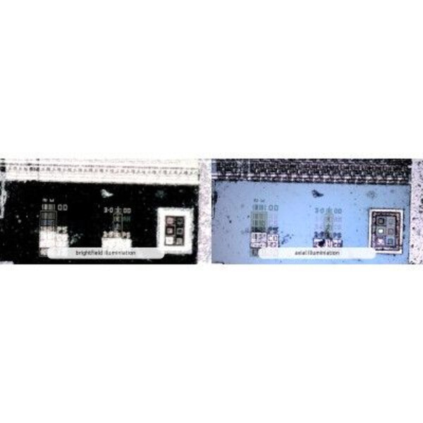 Dino-Lite Microscopio AM73515MT8A, 5 MP, 700-900x, 8 LED, 45/20 fps, USB 3.0
