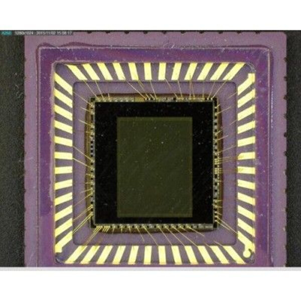 Dino-Lite Microscopio AM4115ZT, 1,3 MP, 20-220x, 8 LED, 30 fps, USB 2.0