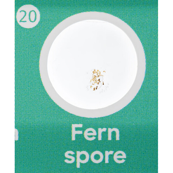Discovery Prepared slides set Fauna and Flora 24