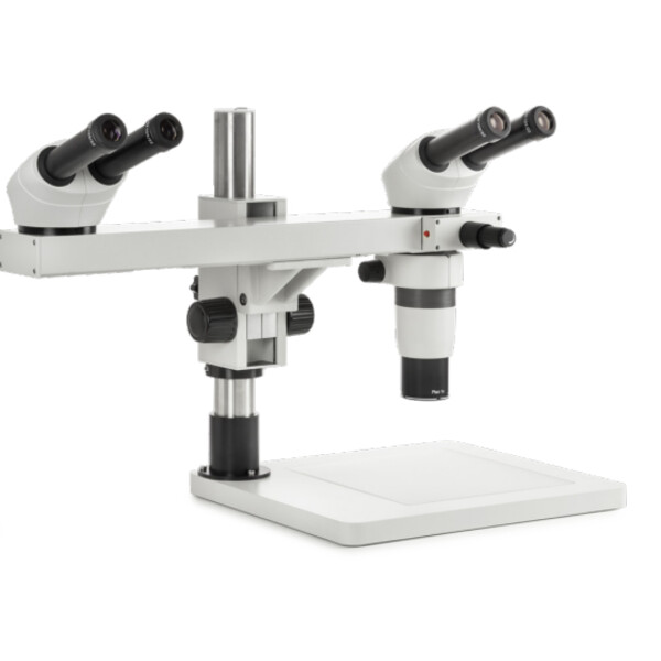 Euromex Microscopio stereo zoom DZ.1604, binoculare, sistema a doppia testa, 8-50x