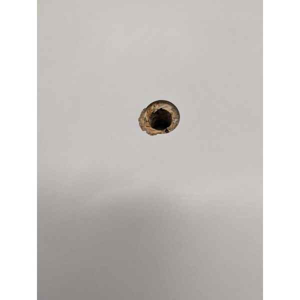 Omegon Montierung Push+ Go (gebraucht)