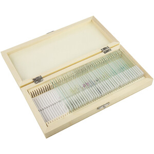 Omegon Prepared slide set, 40 slides in a wooden box