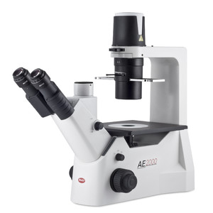 Motic Microscopio invertido AE2000 trino, infinity, 40x-400x, phase, Hal, 30W