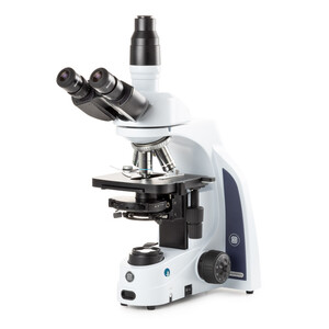 Euromex Microscopio iScope IS.1153-PLPH, HF, PH, trino, DIN, plan, 100x-1000x, LED, 3W