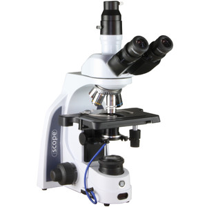 Euromex Microscoop iScope IS.1153-PLi/DF, trino, HF, DF, infinity, plan, 40-1000x, LED