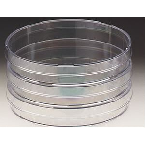 Windaus Petrischaaltjes 94x16mm, polystyreen 20 st.