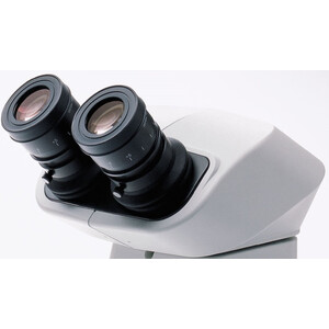 Evident Olympus Testa stereo Tubo binoculare SZX-BI30
