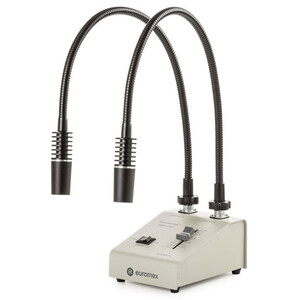 Euromex lichtbron LE.5207, met 2 zwanenhals lichtgeleiders 2x3W, 6500K