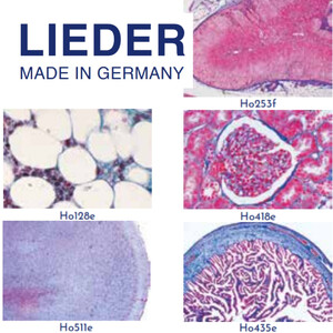 LIEDER Normale histologie van de mens, grote speciale serie, 100 preparaten (meestal gekleurd met hematoxyline-eosine)