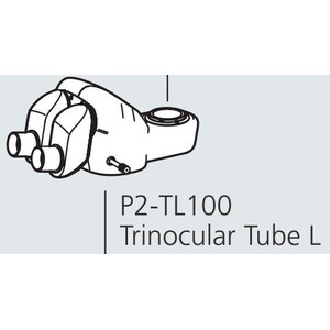 Nikon Stereokopf P2-TL100 Trino Tube 100 (100/0 : 0/100)