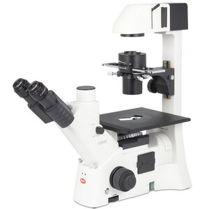 Motic Inverses Mikroskop AE31E trino, infinity, 40x-400x, phase, Hal, 30W
