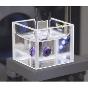 Optika ST-203, glass immersion chamber (Optigem 1 & 2)