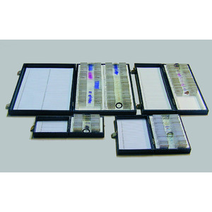 Windaus Preparation box, for 100 slides