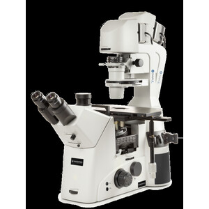 Euromex Inverted microscope DI.1053-PLPHFi, trino, 100-400x, IOS, LED