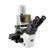 Optika Inverted microscope IM-300LD4, FL, trino, inverted, infinity ...