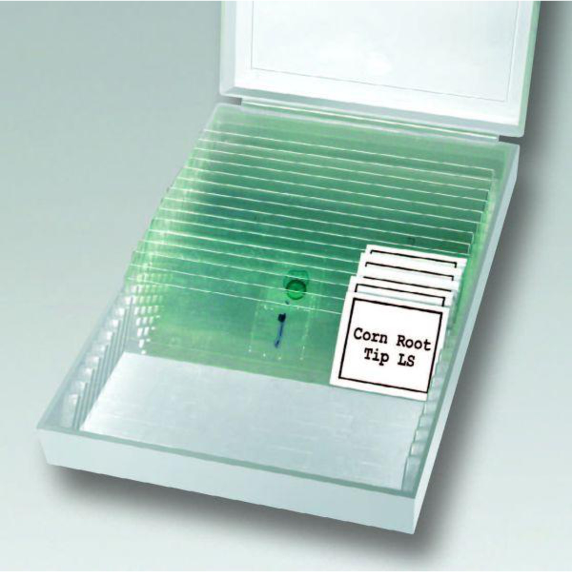 Forspero Extracteur Soxhlet En Verre Borosilicaté 500 Ml - Pour Labo Et Extractions Lipides
