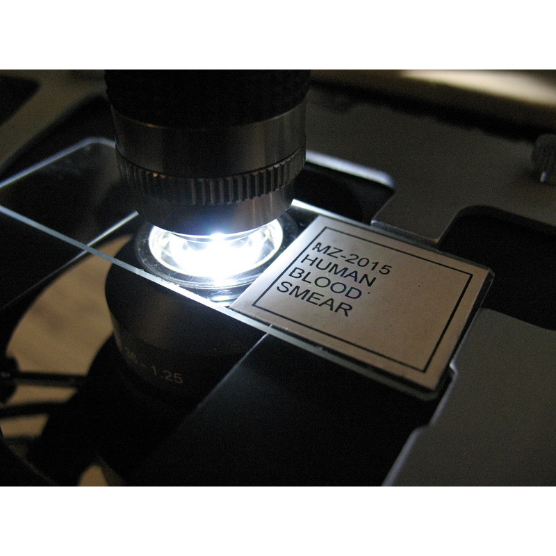 Optika Microscoop B-500TDK voor dark field, trinoculair