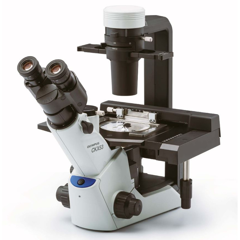 Evident Olympus Microscopio invertito Olympus CKX53 con tavolino, trino, infinity, plan achro, LED, senza obiettivi!