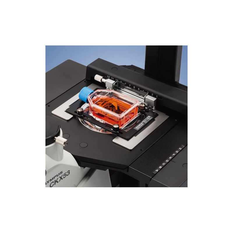 Evident Olympus Microscopio invertido Olympus CKX53 IPC/IVC V1, PH, trino, infinity, achro, 10x, 20x, 40x, LED