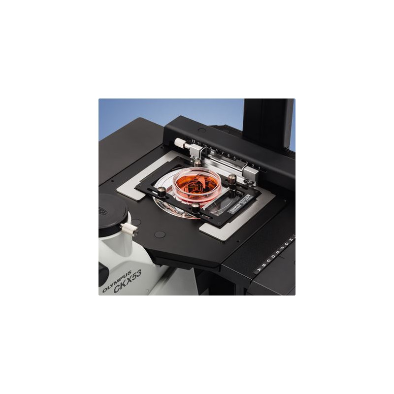 Evident Olympus Inverted microscope Olympus CKX53 IPC/IVC V1, PH, trino, infinity, achro, 10x, 20x, 40x, LED