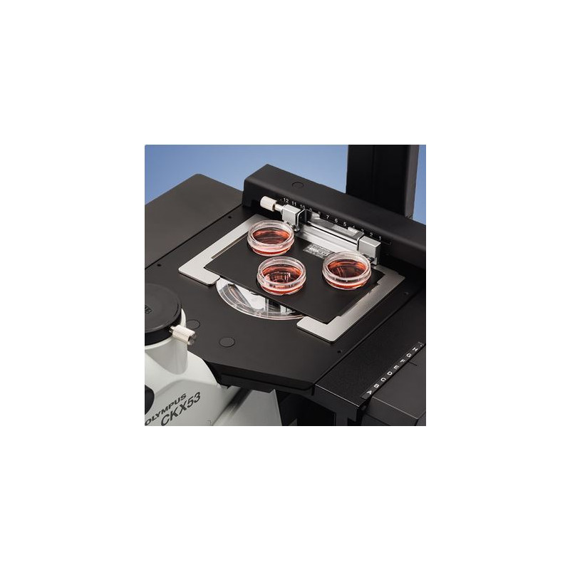 Evident Olympus Inverted microscope Olympus CKX53 IPC/IVC V1, PH, trino, infinity, achro, 10x, 20x, 40x, LED