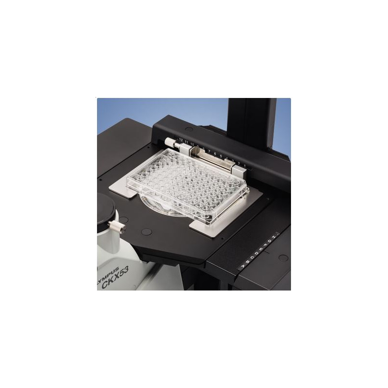 Evident Olympus Microscopio invertido CKX53, trino, 100x, 200x, 400x, IPC/IVC, platina x/y