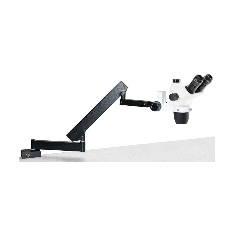 Euromex NZ.1703-AP, NexiusZoom EVO, 6,5x à 55x Bras articulé avec pince de table, sans éclairage, trino