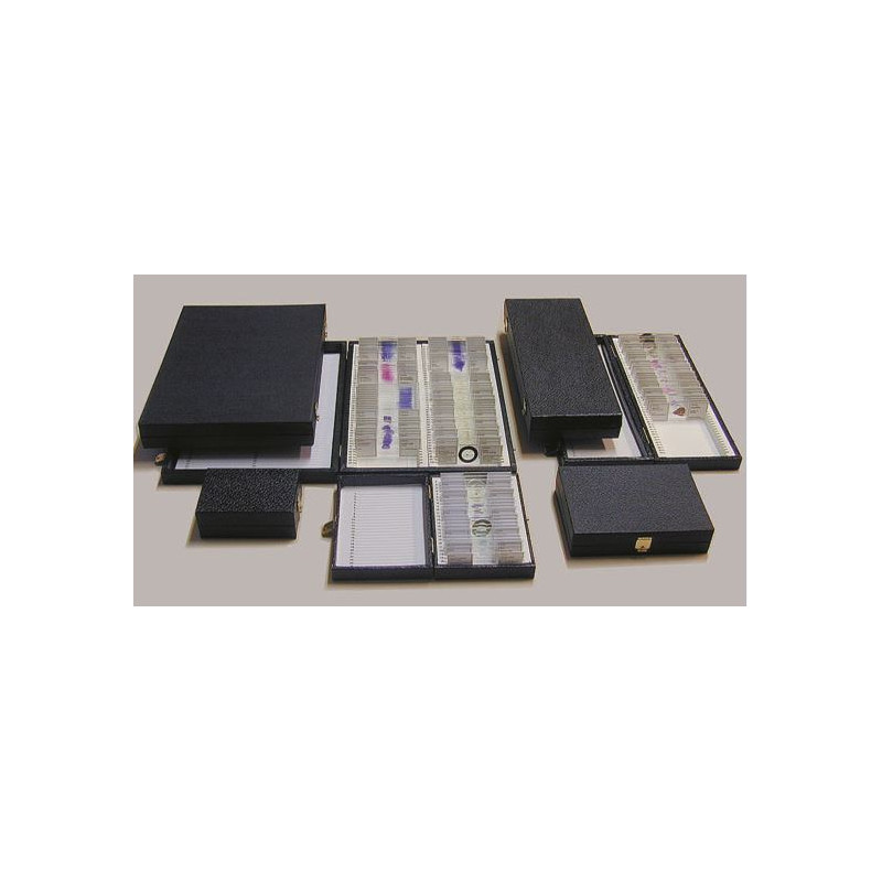 LIEDER K100, recipiente para 100 preparados