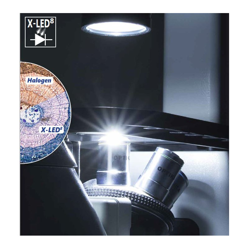 Optika Microscope IM-3F-US, trino, invers, phase, FL-HBO, Filtre B&G, IOS LWD W-PLAN, 40x-400x, US
