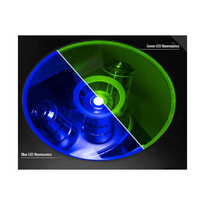 Optika Microscope IM-3F-US, trino, inverted, phase, FL-HBO, B&G Filters, IOS LWD W-PLAN, 40x-400x, US