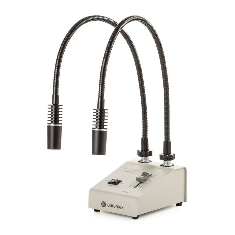 Euromex Fuente de luz LE.5207, con 2 cuellos de cisne Conductores de luz 2x3W, 6500K