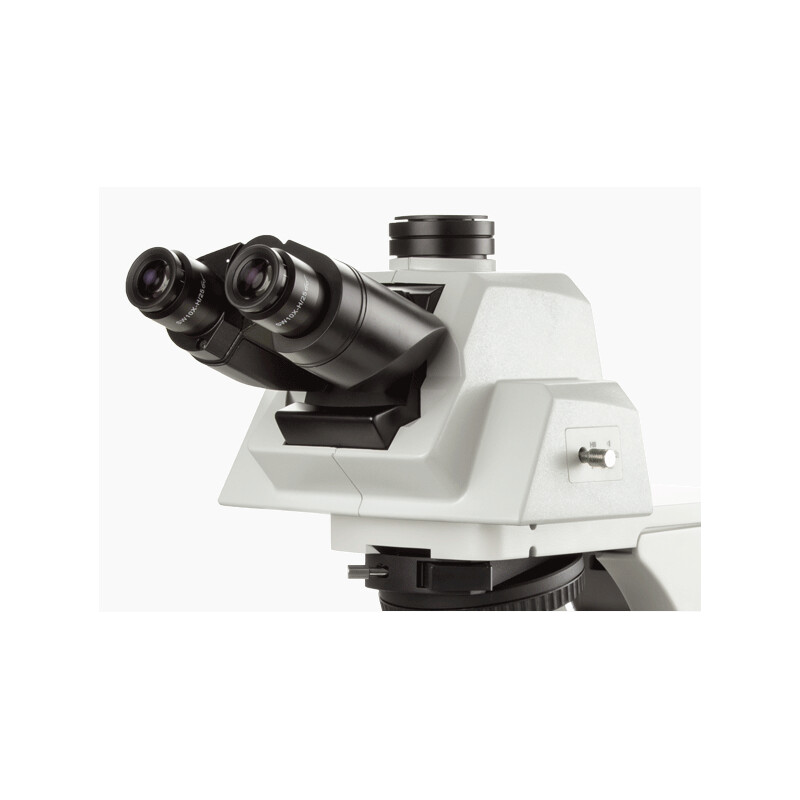 Euromex Microscopio Delphi-X, DX.1158-APLi, trinocular, objetivos plano apocromáticos, 40x-1000x, cabezal ergonómico, AL, LED-3 W