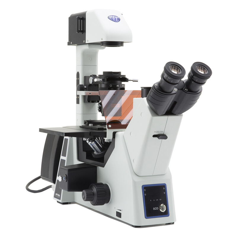 Optika Microscope IM-5FLD-SW, trino, inverted, FL-LED, w.o. objectives, CH
