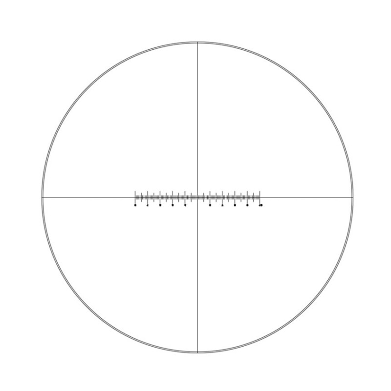 Motic Micrómetro Ocular WF10X/20mm, 10mm /100, Retículo (B3_PL)