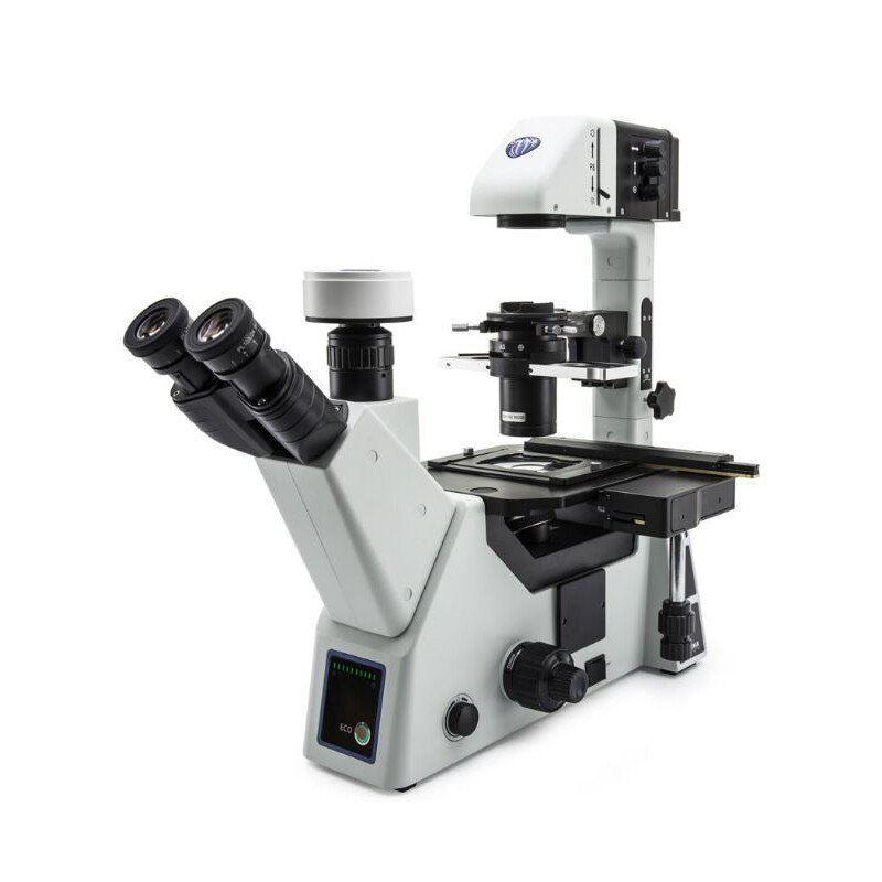 Optika Microscopio invertido I