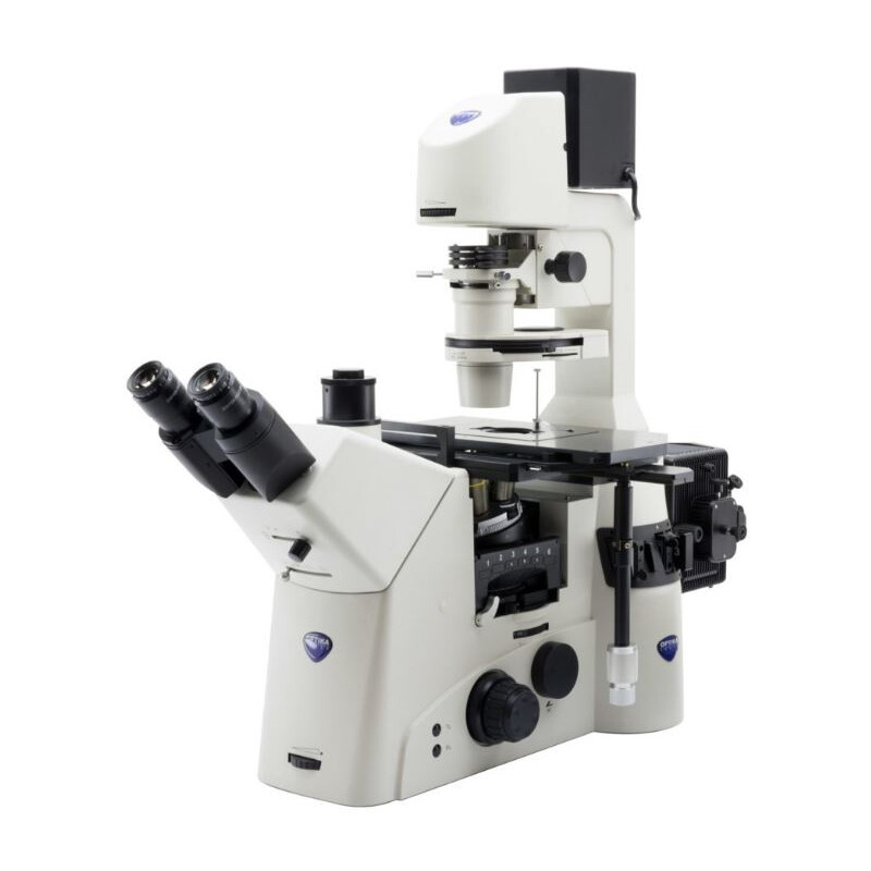 Optika Microscopio invertido I