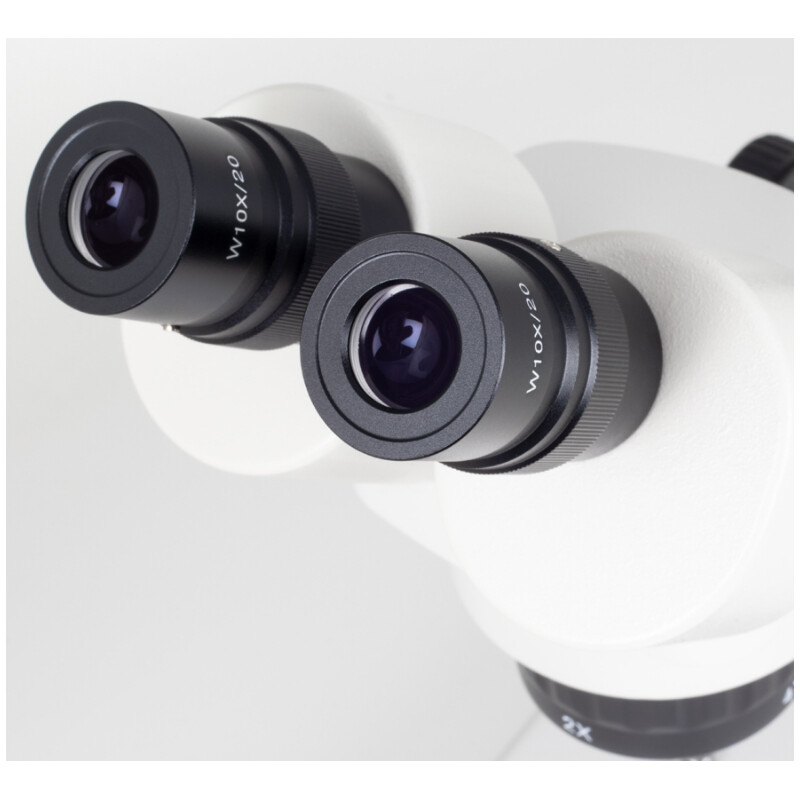 Microscopio estereo Motic SFC-11C-N2LED, binocular, 20/40x, AL/DL, LED
